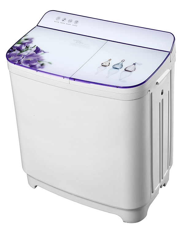 S4A1785 Double bucket washing machine